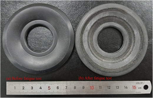 Two circular rubber samples before and after the fatigue test are shown above a metallic ruler marked in centimeters.