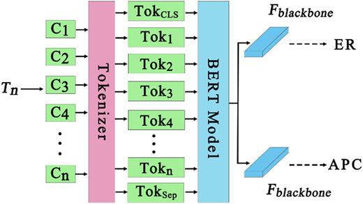 An architecture showing token processing through a tokenizer and B E R T model.