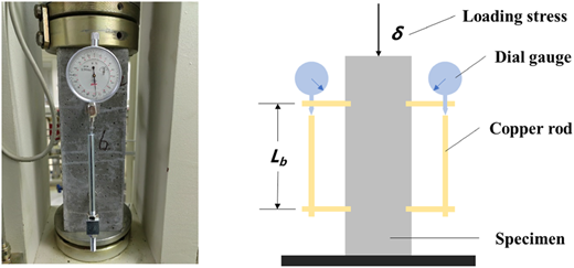 A two-part setup showing a vertical specimen under applied stress with labeled deformation and supporting components.