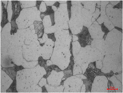 A micrograph shows polygonal grains with darker boundary regions and a red 10-micrometer scale bar.