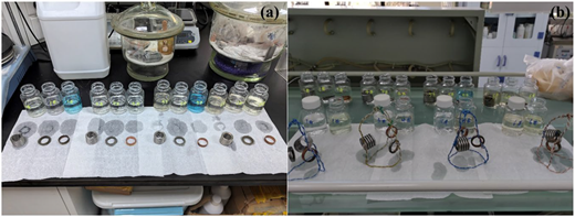 Two photos of scientific samples.