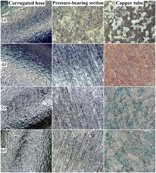 Microscopic images of three different samples after 168 hours of immersion.