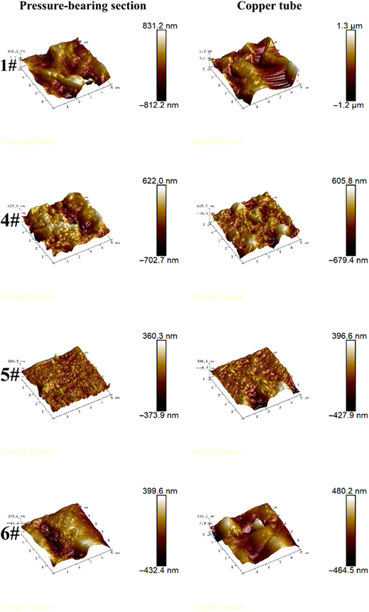 Atomic force micrographs of compressed section and copper tube.