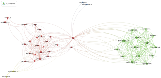 A network diagram showing clusters of co-cited authors.