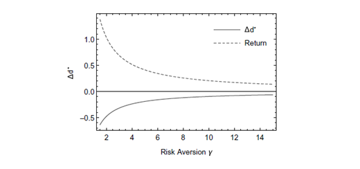Graph showing delta d asterisk on vertical axis and risk aversion gamma on horizontal axis. Solid line labeled delta d asterisk decreases below zero, dashed line labeled Return decreases toward zero. Axes show continuous trends.