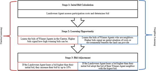 Flowchart titled showing three stages: Initial Bid Calculation, Learning Opportunity, and Bid Adjustment. Red arrows indicate Canton Learning and blue arrows indicate Neighbor Learning. Each stage includes labeled decision steps for Landowner Agent behavior.