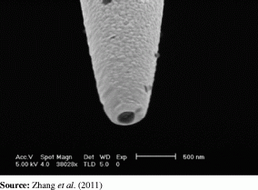 Figure. Refer to the image caption for details.