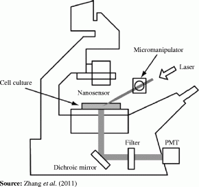 Figure. Refer to the image caption for details.