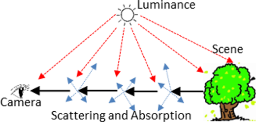 Figure 1 Refer to the image caption for details.