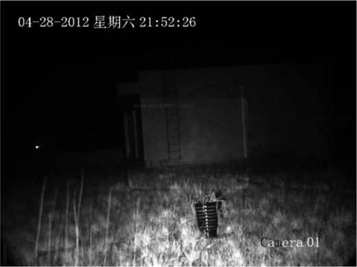 Figure 10 Refer to the image caption for details.