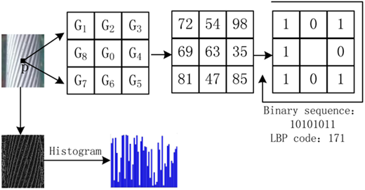 Figure 5 Refer to the image caption for details.