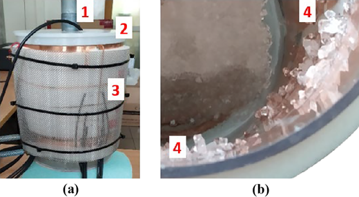 Figure 4 Refer to the image caption for details.