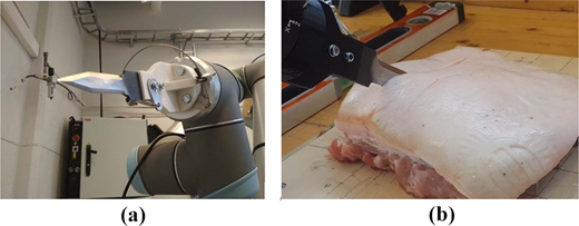 Figure 1 Refer to the image caption for details.