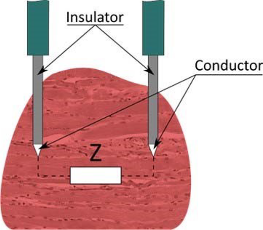 Figure 2 Refer to the image caption for details.