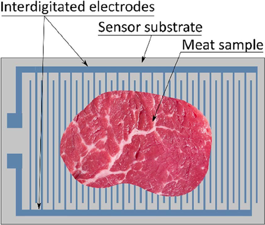 Figure 5 Refer to the image caption for details.