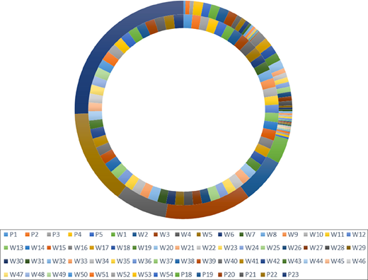 A circular chart presents data distribution across parameters P1 to P 23 and W1 to W5 4, showing segment proportions representing individual variable contributions.