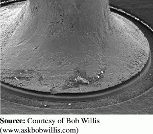 Figure. Refer to the image caption for details.