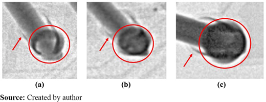 Figure 4 Refer to the image caption for details.