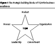 The strategic building blocks of TQM for business excellence