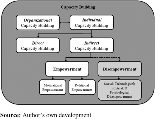 An overview of theoretical constructs related to capacity building Refer to the image caption for details.