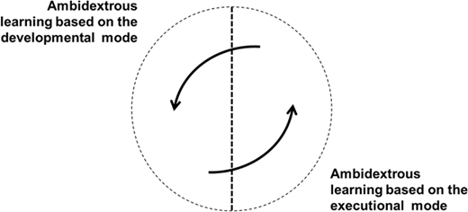 Ambidextrous learning processes Refer to the image caption for details.