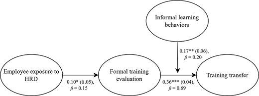 A moderated mediation model links employee exposure to HRD with training transfer through formal training evaluation and informal learning behaviours.