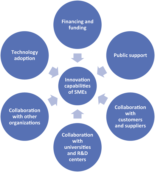 A diagram links six external factors to the innovation capabilities of S M E s through inward-pointing arrows.