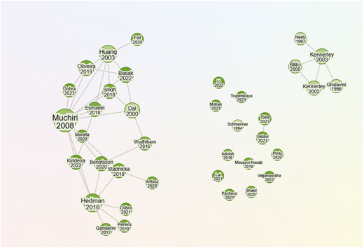 A diagram of authors' connections in RabbitResearch.