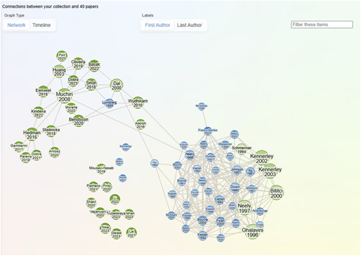 A network graph showing connections between a collection of papers and 40 other papers.