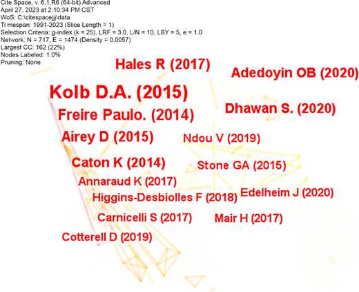 A network analysis visualisation displays authors and publication years, connected by lines to represent citation relationships, with metrics summarised at the top.