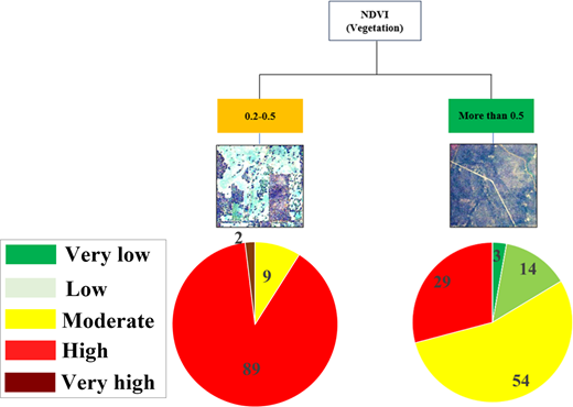 Two pie charts show N D V I groups with proportions for very low, low, moderate, high, and very high classes.