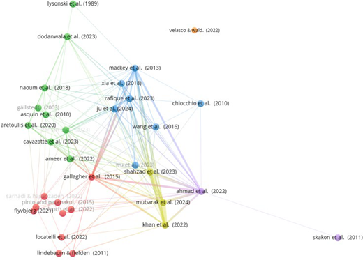 Citation network map showing interconnected author clusters, with recent studies linking multiple research groups across the network.