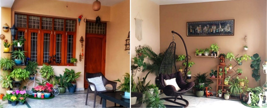 Arrangement showcases a home garden blending indoor and outdoor elements for aesthetic and functional appeal.