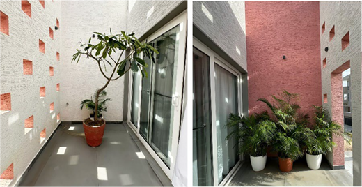 Balcony view displaying a potted tree and small palm trees against textured walls, divided into two sections.