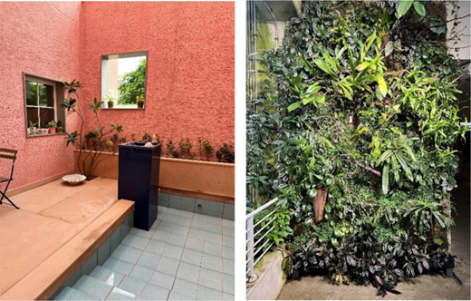 Indoor area with a pink wall, plants, and a water feature beside a vertical garden filled with various greenery.