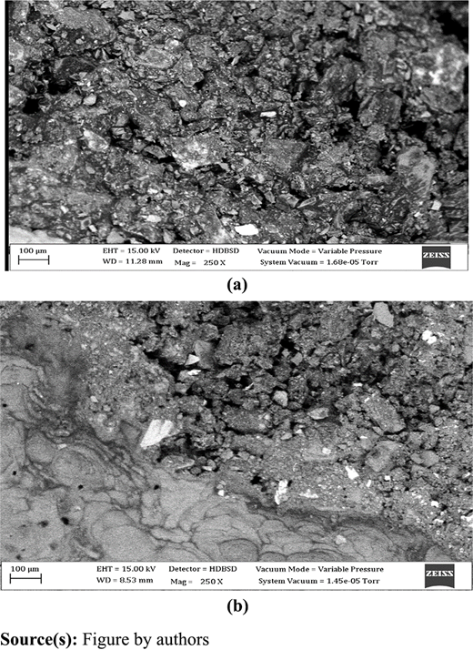 Two F E S E M micrographs labelled a and b comparing control and 50 percent S D A plus C C A asphalt mixtures.