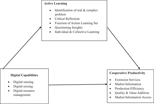 A flowchart links digital capabilities, active learning, and cooperative productivity through direct and mediated paths.